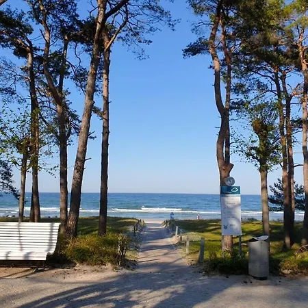 In The Center Of Apartmán Binz